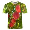 Fruit peach series 3D printed short sleeves, summer niche fashion versatile trend round neck comfortable top T-shirt