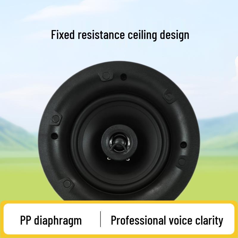 Professional Recessed Ceiling Speaker for Clear Conference Room Audio