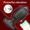 Vibrating Anal Plug, Suitable for Beginners, 9 Frequency Vibrating Anal Plug, Anal Toy, Sex Toy Adult Products, Male and Female Universal Sex Toy
