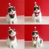 Reusable Christmas Cat Hat Red Autumn Winter Xmas Cat Custom Cute Cartoon Decorative Pets Dress Up Supplies for Dogs