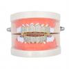 Hip Hop Grillz Gold Grillz Vampire Fangs Micro Inlaid Zircon 18K Gold Teeth Trendy Decorative Grillz