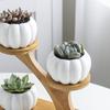 Modern Ceramic Plant Pot Bamboo Saucers Stand Holder for Home Office Decoration