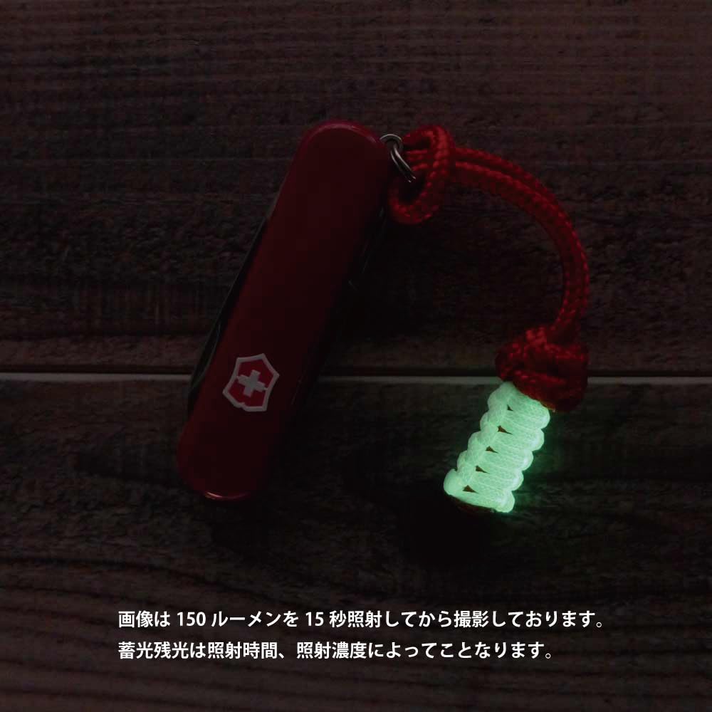 Victorinox Signature Lite WL Silver Tech Custom with Paracord