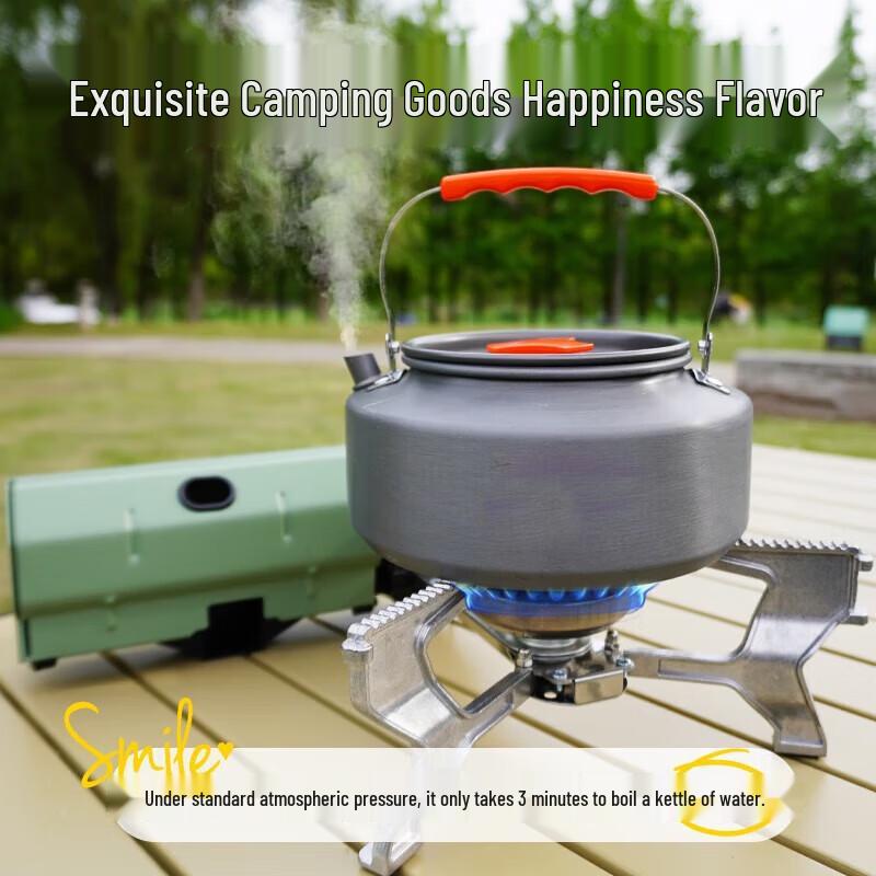 Hanlemeitu Portable Camping Gas Stove & Cooker