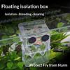 Transparent Fish Breeding Box Isolation Fish Isolation Box New Aquarium Breeder Box  Fish Tank Use