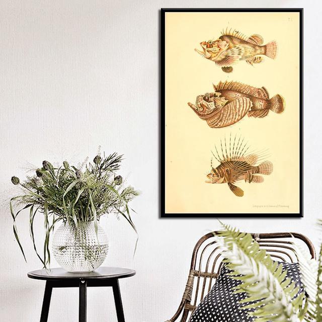 Ocean Sea Shell Fish Animal Canvas Painting Posters And Prints Wall Art Picture Vintage Life Chart Biology Decoration Home Decor