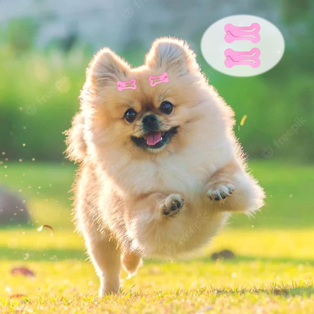 100/200pcs Dog Hair Clips Multicolor Barrettes Small Bone Snap Hair Clips for Dogs Cat Pet Grooming Bows Hair Accessories