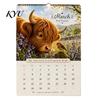 Academic Planning Calendar 2027 Highland Cow Wall Calendar, A4 Hanging Monthly Planner for Home Scottish Cattle Office, Decorative Schedule Organizer
