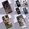 British Shorthair Cat Case For Xiaomi Redmi Note 14 9 10 11 12 13 Pro 9S 10S 11S 12S Redmi 13C 10C 12C 14C Coque