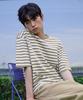 FILLUMINATE Semi-Crop Multi-Stripe T-Shirt - Brown