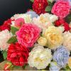 2 Heads Multicolor Lifelike Flowers Silk Plastic Simulation Plants Wedding Ornament  Party Supplies