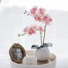 46CM Two Branched Phalaenopsis with Leaves Simulation Flower Artificial Realistic Orchid Flower Soft PVC Home Vase Decoration