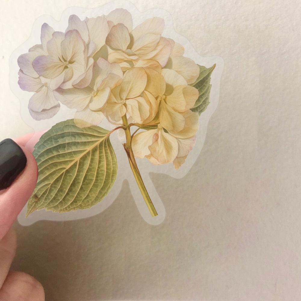 50 Transparent Cartoon Green Plant Sticker Pack Waterproof Transparent PET Manual Material Decorative Guitar Notebook