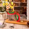 Insert Bug Viewer for Kids,4PCS Magnifying Insect Box Bug Catcher Kit for Kids Bugs Magnifier Container Critter Insect Bugs Cage,Magnifier Backyard
