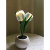 1pc Tulips Flower Night Light For Room Decor LED Charging Flower Potted Night Light Cute Small Tulips Bedside Lamp
