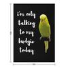 Im only talking to my budgie today. For parakeet lovers Throw Blanket for babies Plush Tourist Decorative Throw Blankets