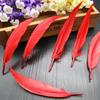 50Pcsdiy Scimitar Feather Colored Feather Handicrafts Jewelry Accessories Material Feather