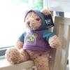 Bear In Teddy A Hoodie Plush Toy Cartoon Stuffed Doll Decoration Gifts Kids