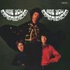 Vinyle Are You Experienced