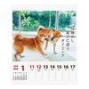 2026 Calendar Dog Senryu (Weekly)