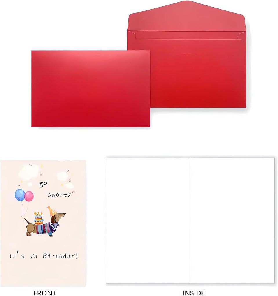 Hilarious Dachshund Birthday Card Hot Diggity Dog Funny Greeting for Him Her Cute Wiener Dog Gift for Pet Lovers Owners