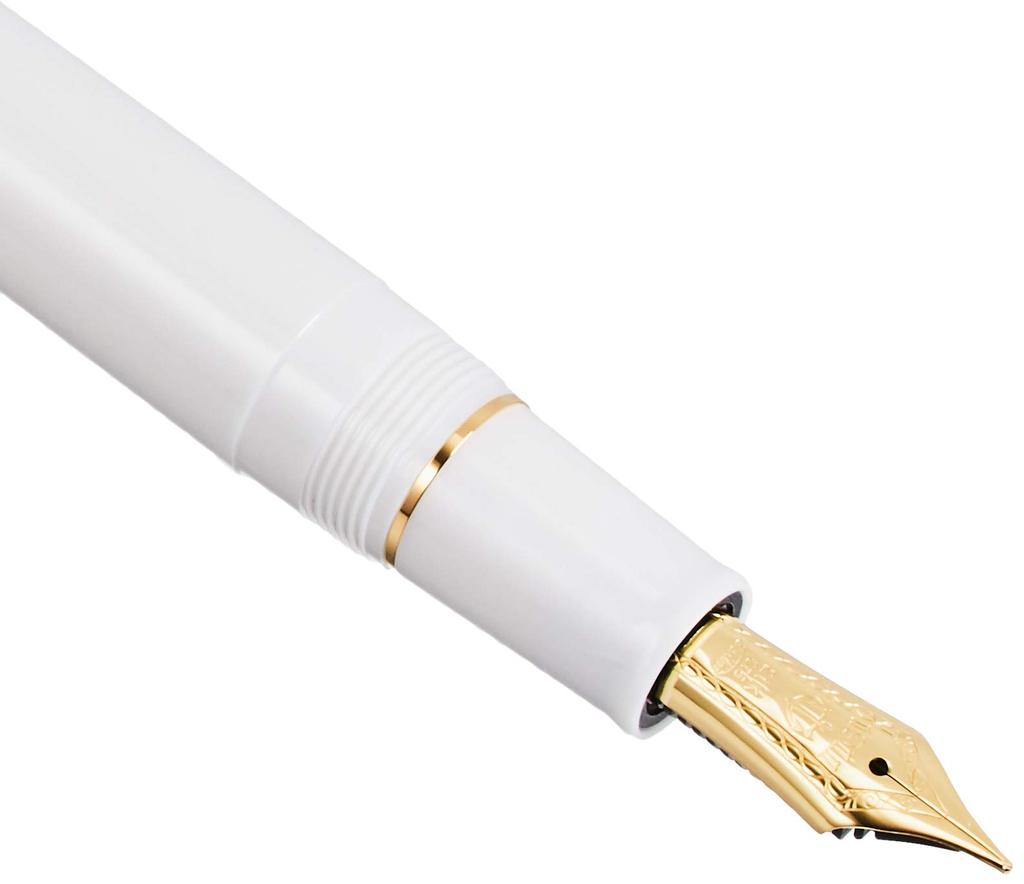 Sailor fountain pen Profit 21 White Zoom 11-2021-710