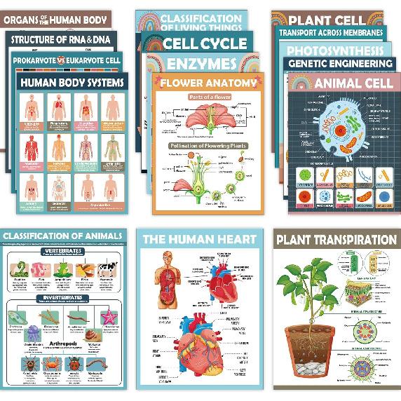 16Pcs Boho Science Posters for Classroom Middle School Supplies Biology Poster Classroom Decoration Life Science Posters Charts for Teachers High