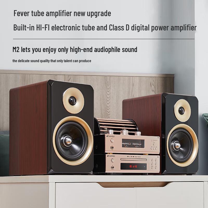 ShanShui M2 HiFi CD/DVD Tube Amplifier System CN Plug (adapter Included)