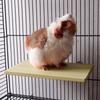Hamster Cage Grinding Paw Parrot Rack Bird Perches Platform Wood Stand Platform Pet Supplies