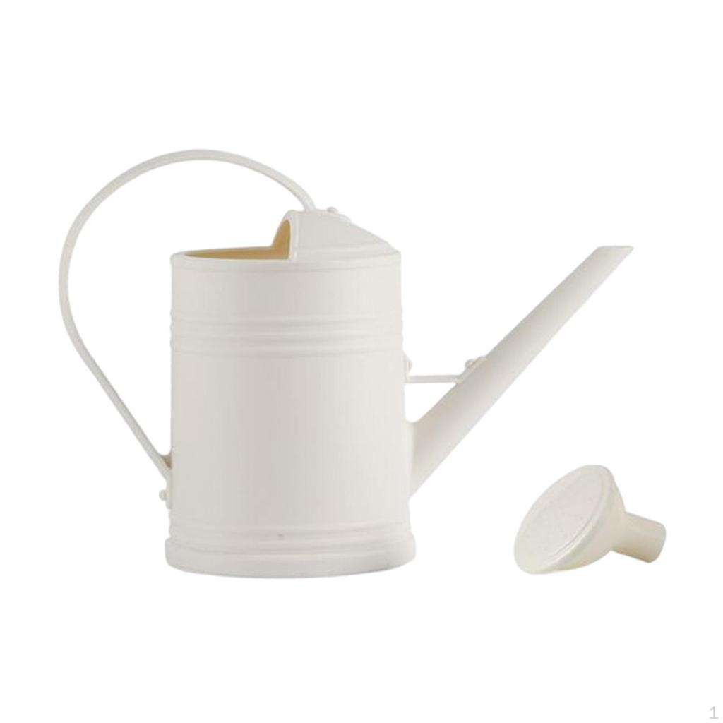 2000ml Watering Can Decorative Long Nozzle Multipurpose with Detachable Spray Head Large Capacity