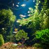 Water Grass Decor Fish Tank Artificial Plants Simulation Tree Aquarium Supplies Plastic Plant For Reptile Cage Decor