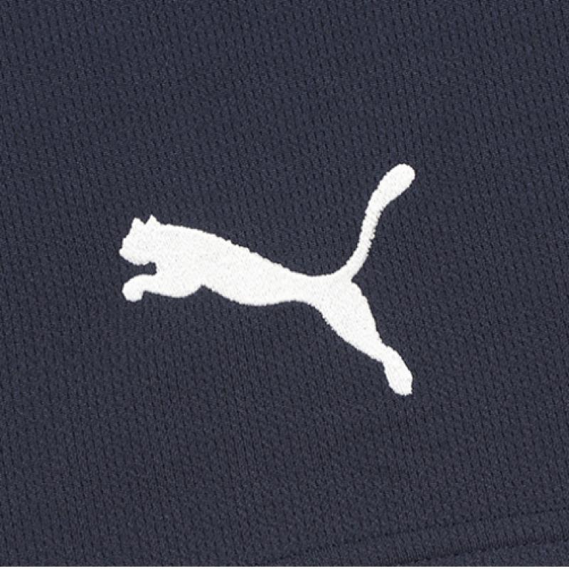 Puma Manchester City 2025 26 Shorts Man City Jersey