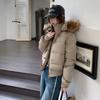Winter big fur collar hooded short solid color temperament elegant cotton-padded clothes female feeling thin and warm small cotton-padded jacket