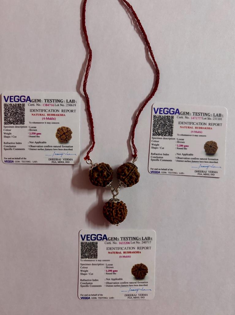 999 Silver 4 Mukhi + 4 Mukhi + 6 Mukhi RUDRAKSHA Rudraksh Saraswati Kavach Locket, 4+4+6 Face, Lab Certified, Kids, Adults Unisex
