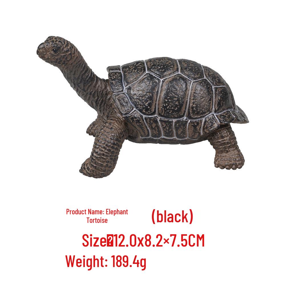 "Wildes Meerestier Simulationsmodell": Kinder Bildungs-Heimdeko-Spielzeug"