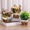 Tabletop Artificial Flower Decorations Simulation Potted Plant Ornaments