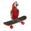 1Pc Parrot Skateboard Perch Stand Bird Funny Training Playing Interaction Toy