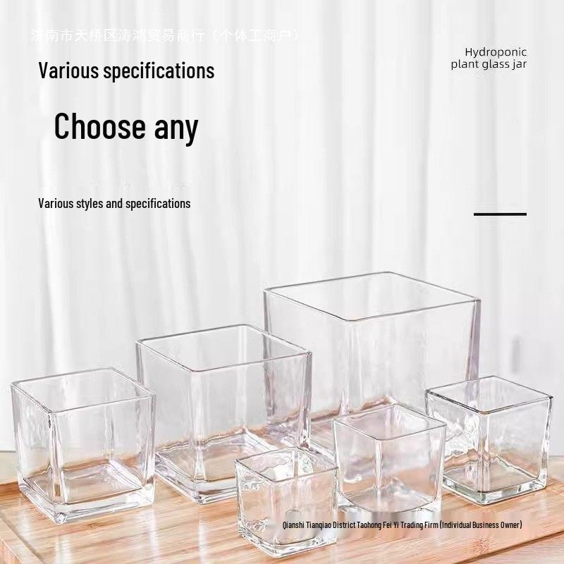 Thick Acrylic Square Vase & Fish Tank for Hydroponic Plants and Flowers