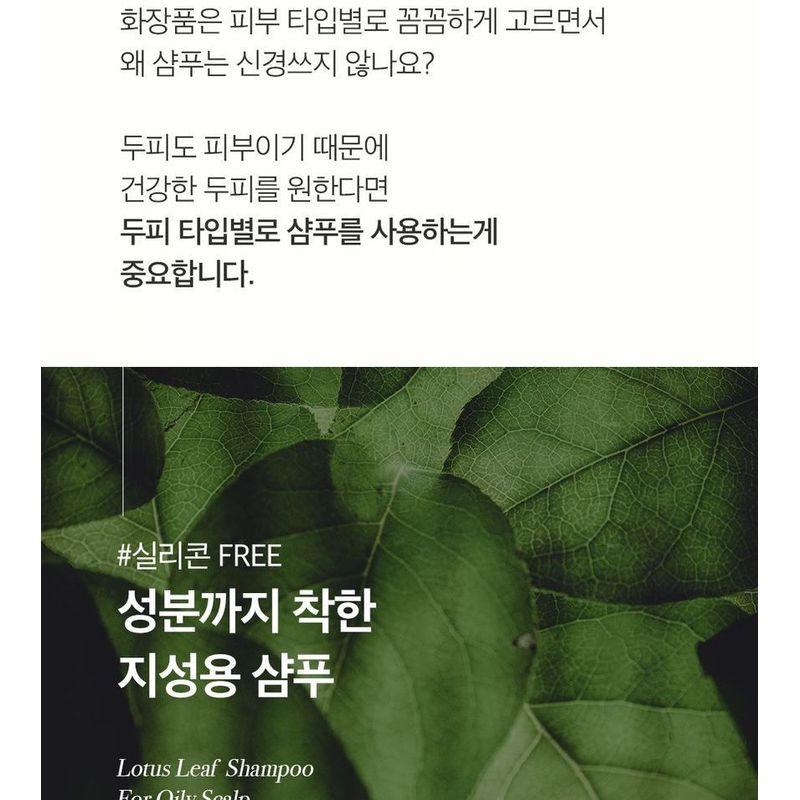 THE PURE LOTUS - Lotus Leaf Shampoo For Oily Scalp Jumbo