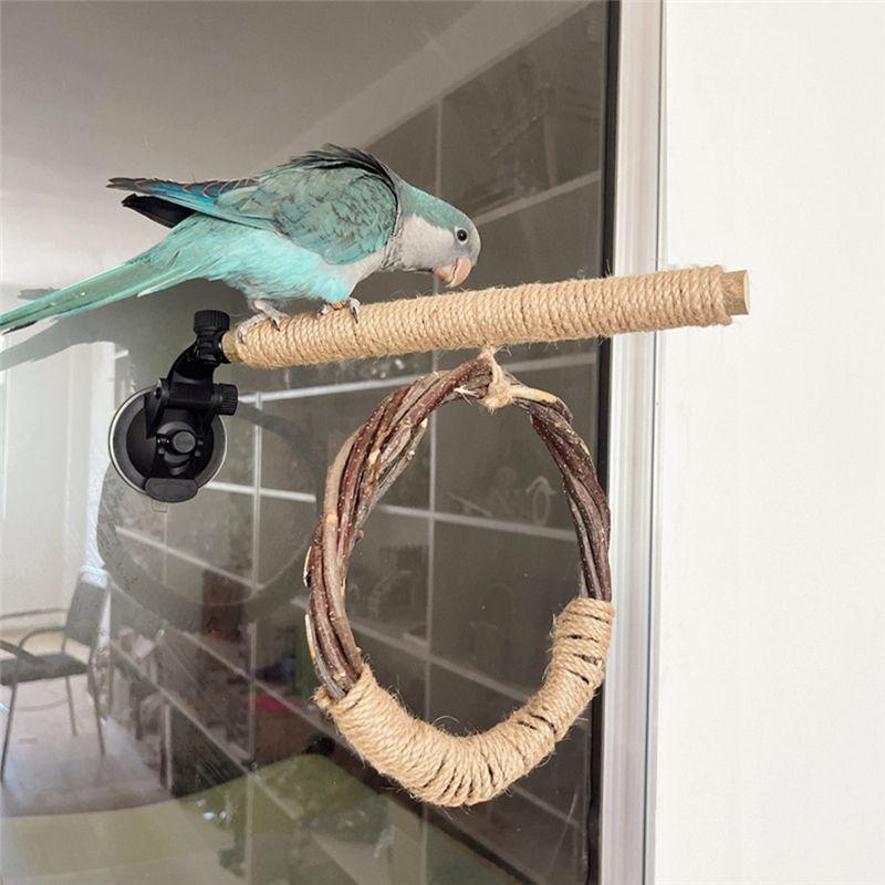 Practical-Bird Swing Set Swing Hanging Natural Cage Accessories Bird With Suction Cup Bird Standing