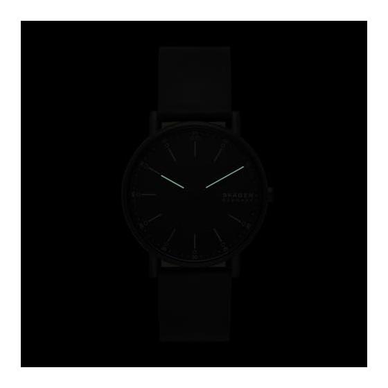 [Skagen] Watch Signatur SKW6902