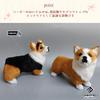 TOMMYFIELD Corgi Plush Dog Figurine, Realistic Desktop Decor (Black) [Used]