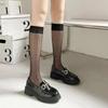 Women's See-through Design Knee Socks Daily Fashion Socks