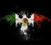 Mexican Flag Coat of Arms Flame Eagle Rise Up T Shirt High Quality Cotton Loose Big Sizes Breathable Top Casual T Shirt