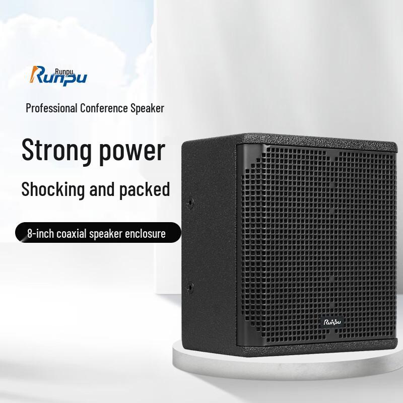 Runpu Professional Dual 8-inch Coaxial Conference Speaker (CN version)