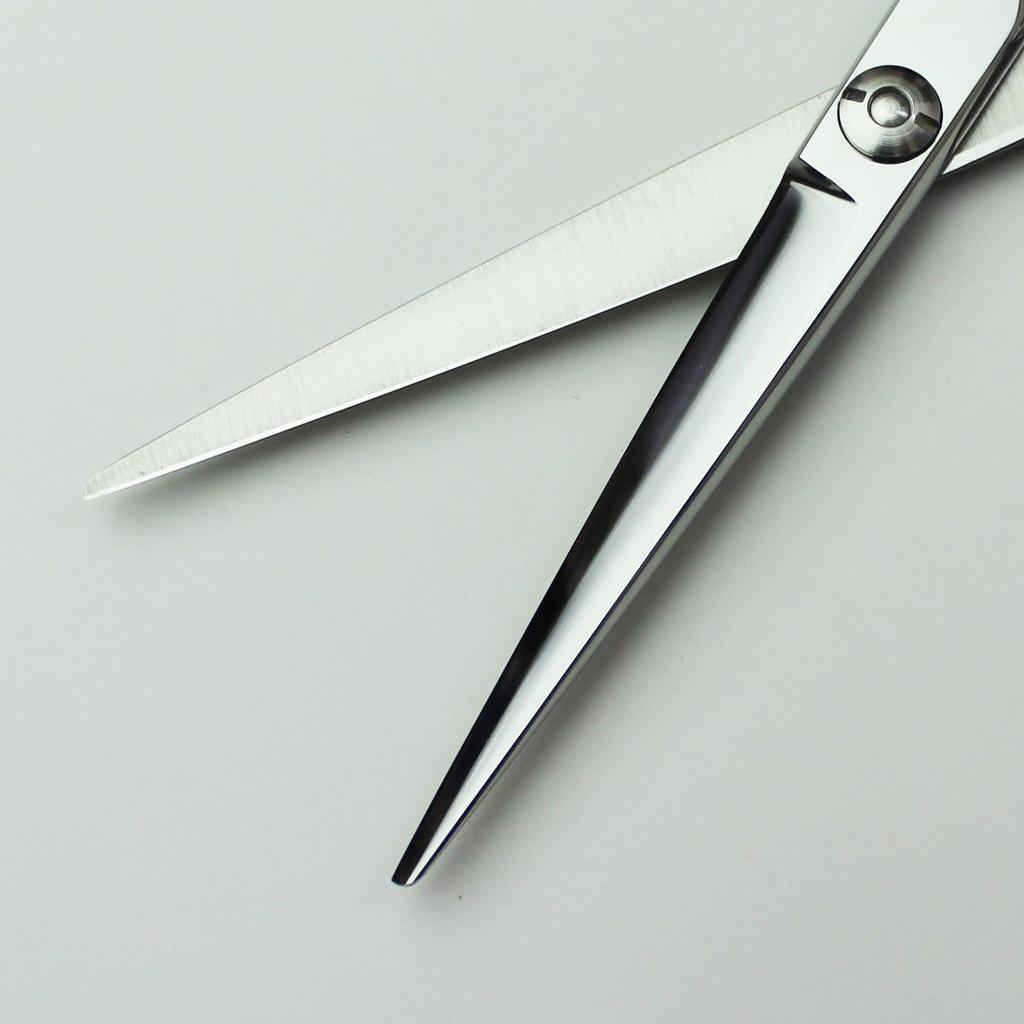 AXIS SG from a Japanese Manufacturer of Professional Ideal for and Home Scissors, 6.0 Inches, Axis, Scissors. Self-cutting, Haircutting, Use.