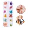 12 Colors Natural Dried Flower for Acrylic UV Gel Nail Art Tips Design Case DIY Decor A