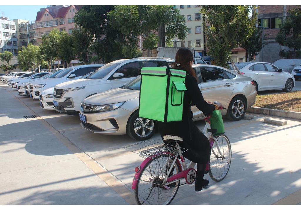 Zaino termico da asporto per pizza, grande capacità 42L/62L, borsa a spalla doppia portatile per esterni