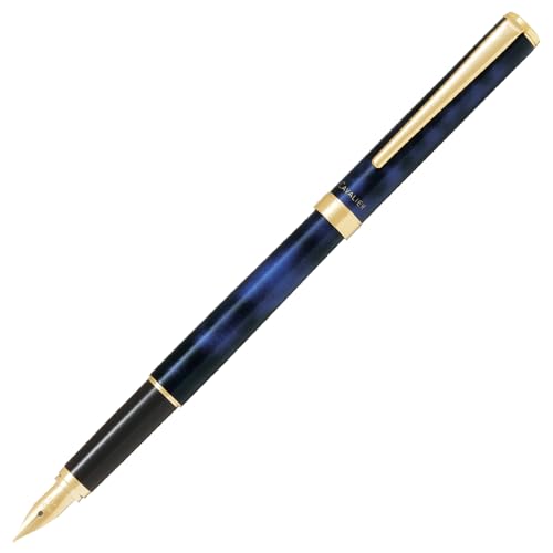

PILOT Marble Fountain Pen, Black&Blue (FCAN-5SR-BL