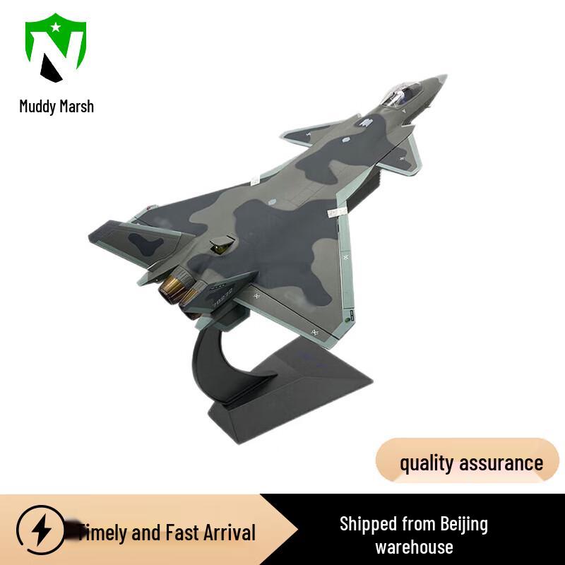 J-20 Fighter Jet Scale Model